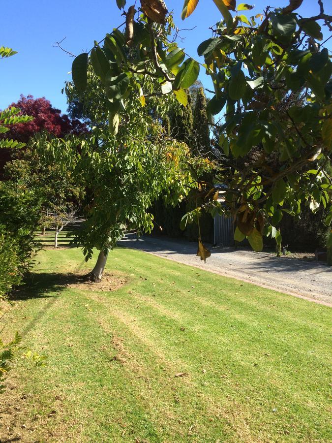 Gumeracha Vineyard Cottage Bnb المظهر الخارجي الصورة